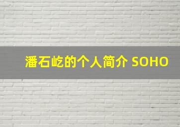 潘石屹的个人简介 SOHO